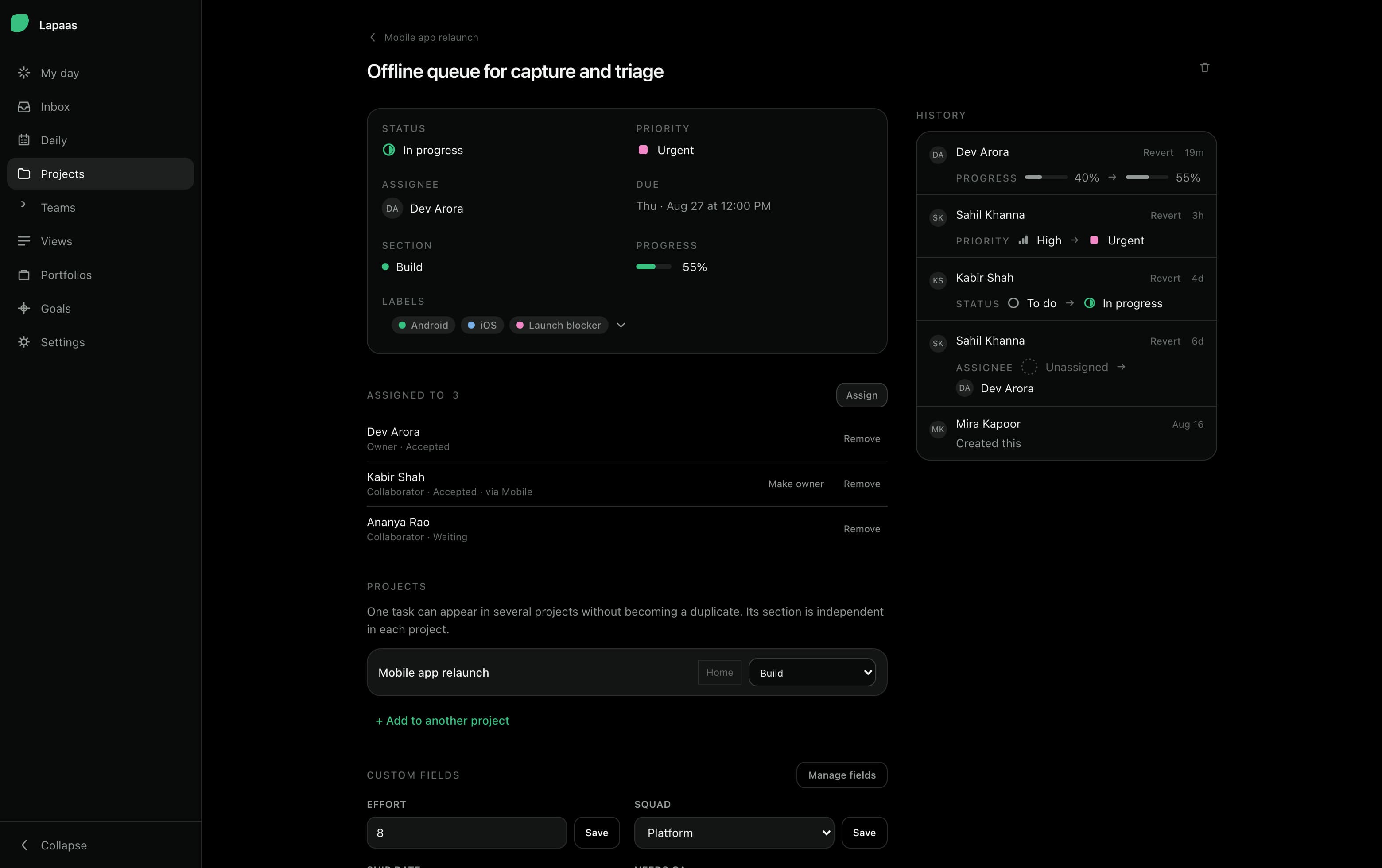 A task detail page showing status, priority, assignee and due date, three assignees with their roles, project membership and custom fields.